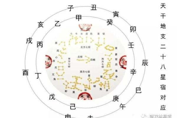 富婆命八字分析：如何通过命理掌握财富与好运