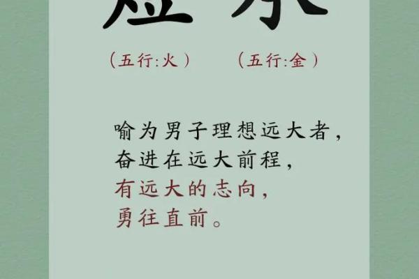 带志字的男孩名字寓意与起名技巧