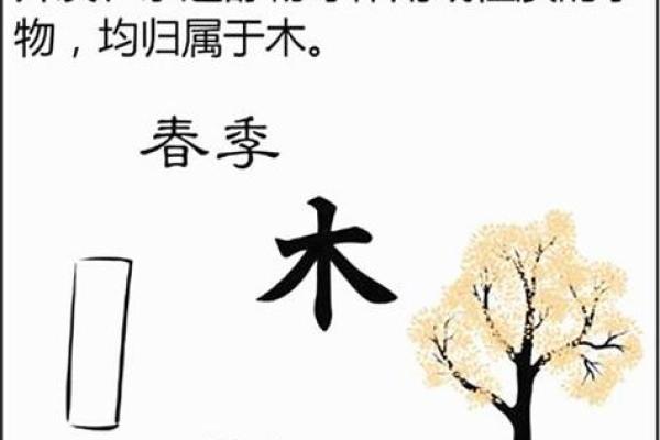 喆字的五行属性解析及其在命理中的重要性