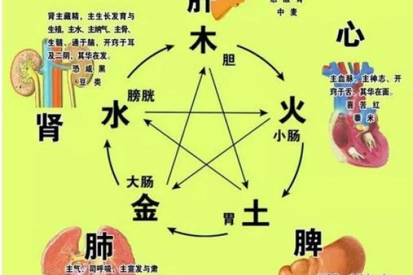 如何运用孔雀五行提升个人运势