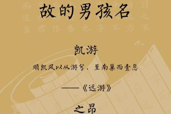 精选发字辈男孩名字，赋予独特气质与内涵