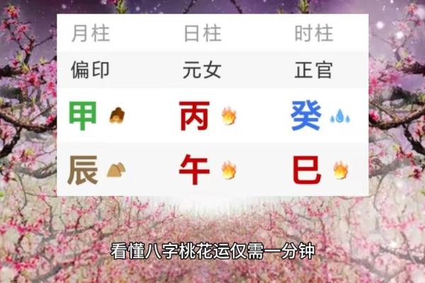 甲子日柱与桃花运的相生相克