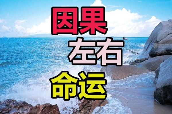 李连杰八字命理解析：深度探讨其命运轨迹与人生启示