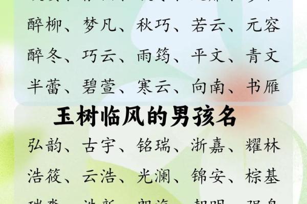 如何根据生辰八字为女孩取一个合适的名字