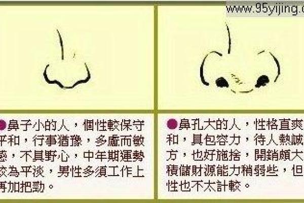 从命带文星看命运的智慧与潜力