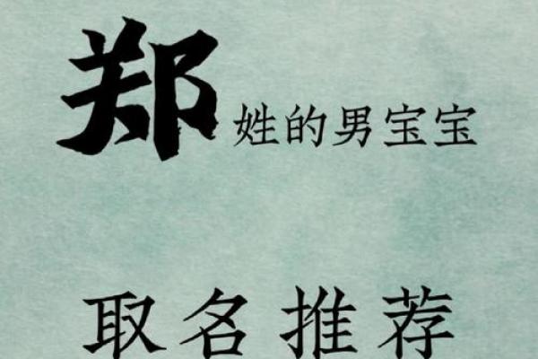 给姓郑的男宝宝起名：寓意深远的精选名字推荐