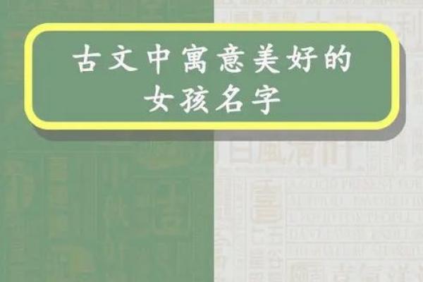 精选女宝宝名字，寓意美好与幸运