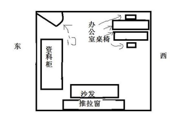 办公室风水养花指南，提升事业运和人际关系