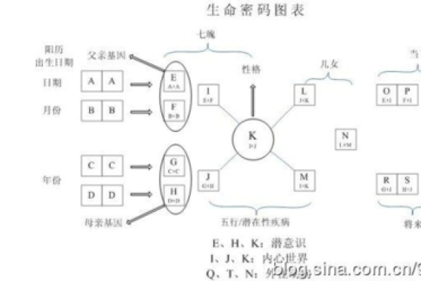 倚字五行解析：揭示其在命理中的深刻含义与影响