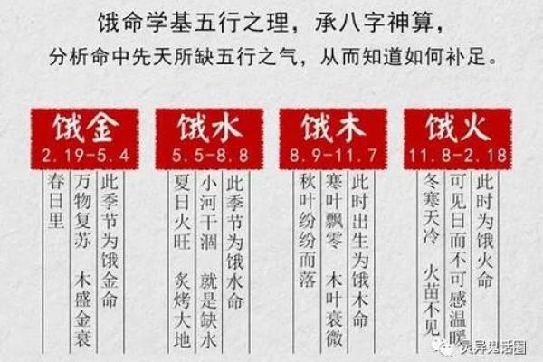 探索纯合命：命理学中的深层次概念