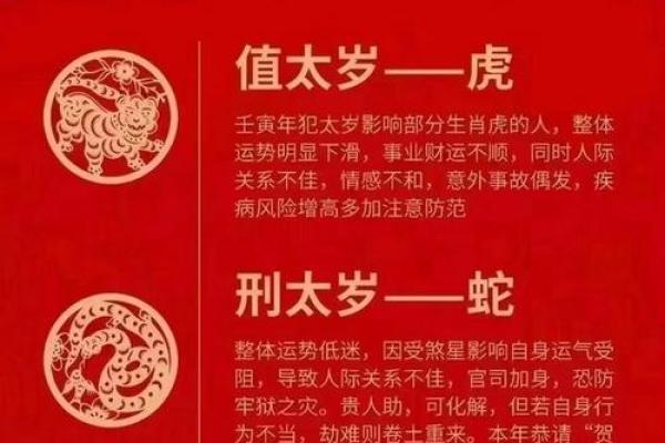 探索纯合命：命理学中的深层次概念