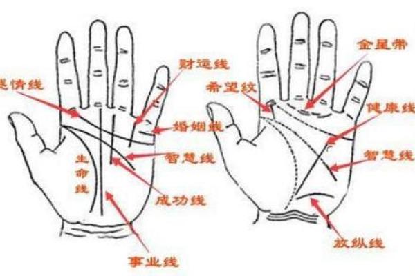 出生的命运解析：运势与人生方向