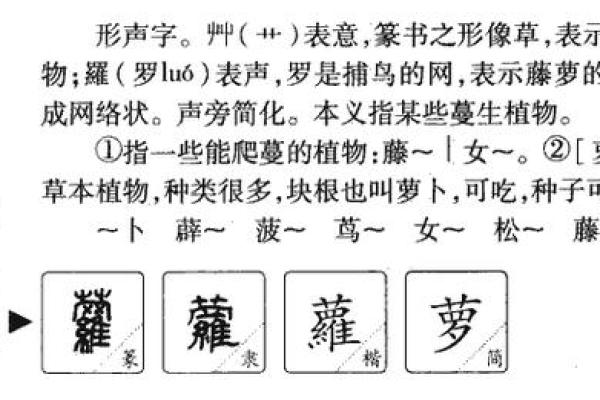 风中奇缘：如何为孩子选择带有风字的寓意深远名字