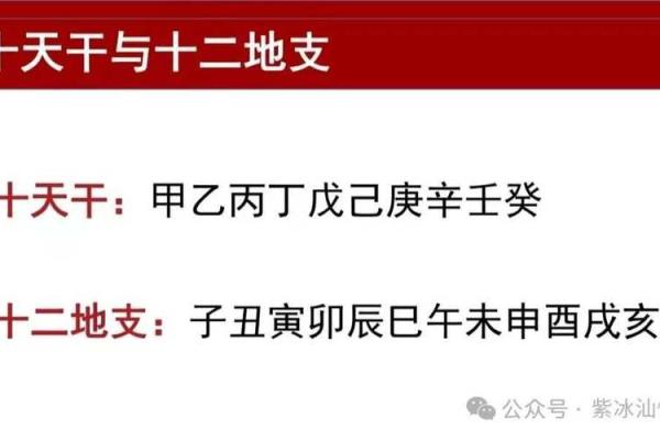 金华八字命理解析：如何通过八字看人生运势