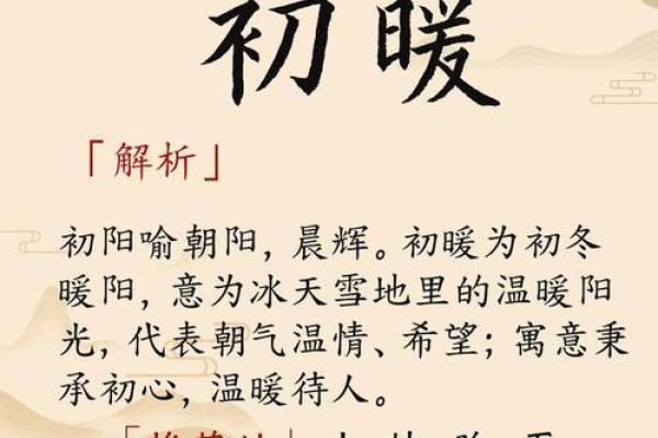 双胞胎名字大全：经典与现代之选