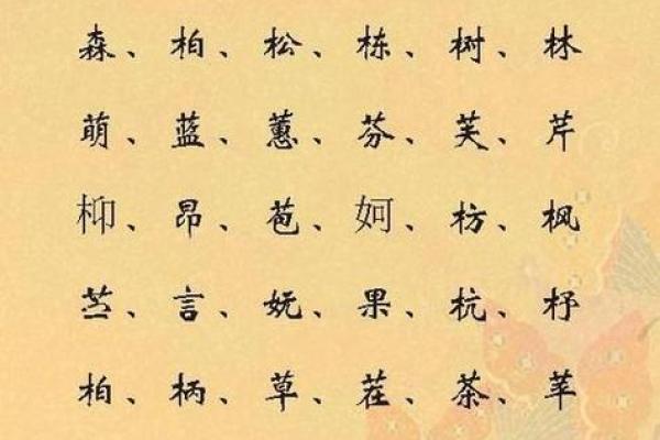 宝宝起名字测试：揭开命名背后的奥秘与技巧