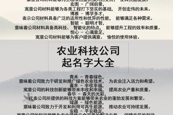 打造品牌形象的公司起名方法