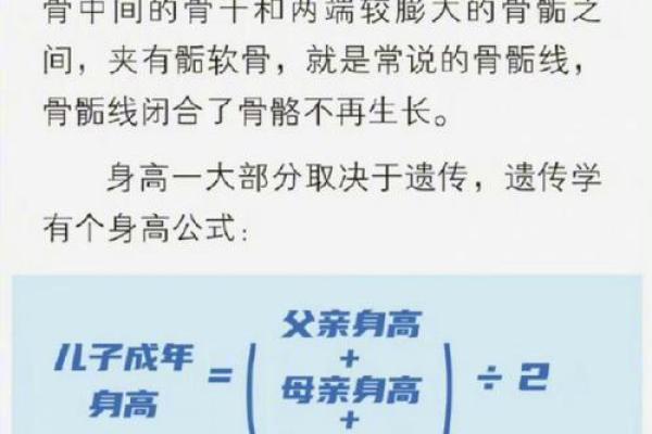 最佳身高配对：如何找到理想的身高差距让感情更和谐