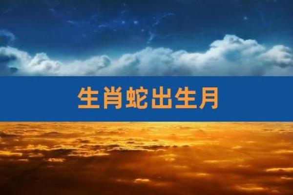 出生的人属什么命？探索生肖蛇的命运与特点