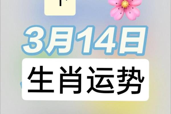 生肖羊的运势解读：财富、健康与感情运程