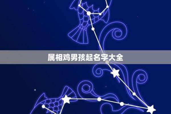 独特鸡宝宝名字大全 创意与传统完美结合