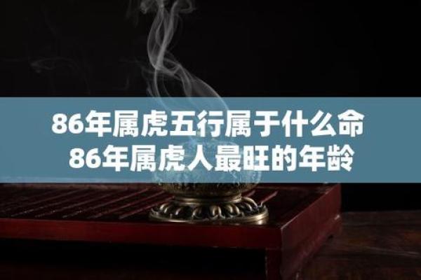 属虎的五行属性分析与解读