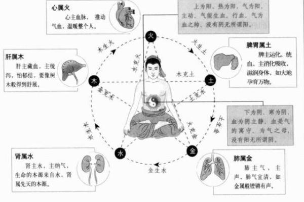 五行属糖如何与五脏相互关联