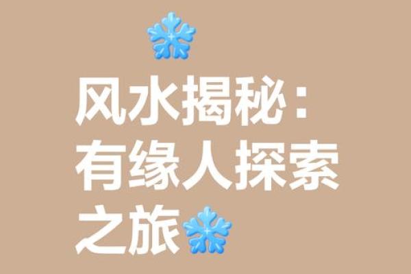 不同轨迹的命运，揭开人生无缘相配的真相