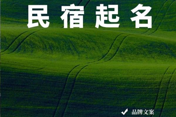 科技公司起名趋势与灵感大全