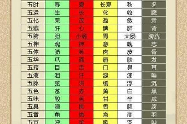 鼠年五行与命理解析：如何根据五行调节运势