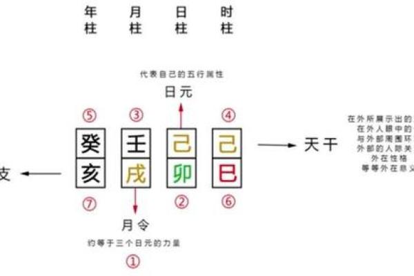 强弱八字对职业发展的潜在影响