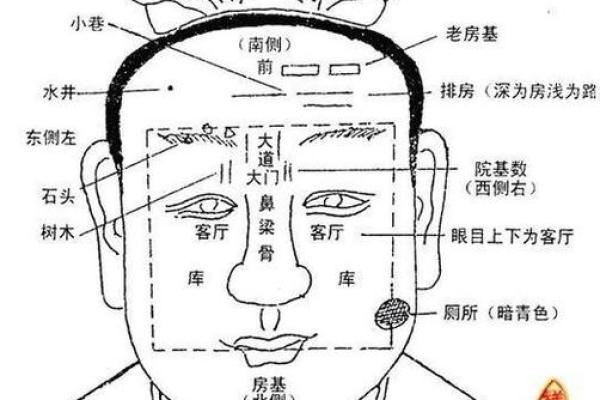 面相风水与个人运势的深度关系解析