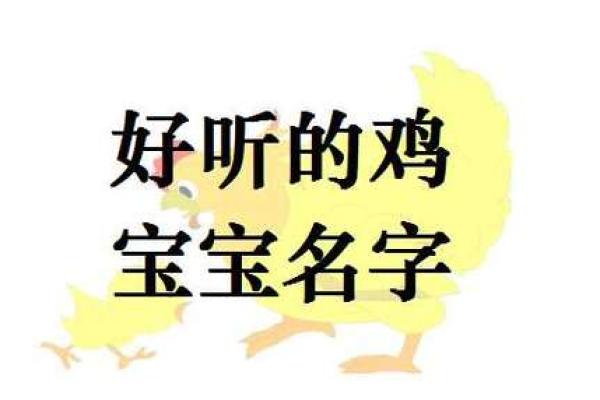 鸡宝宝起名字推荐，如何选一个寓意吉祥的名字