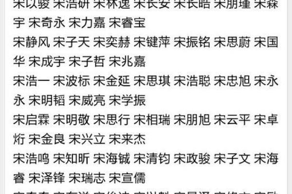 司姓男孩名字大全，展现独特气质