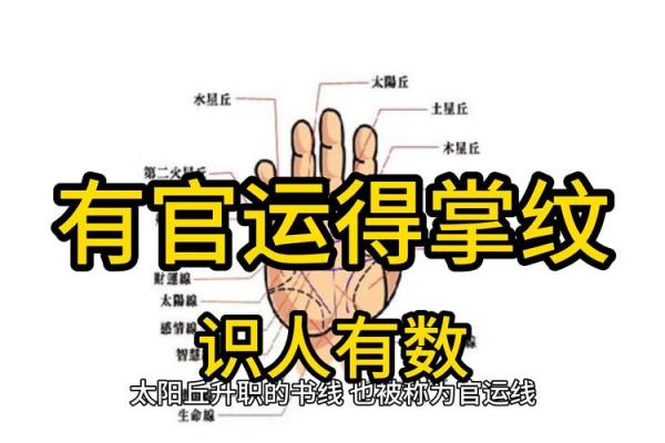 手相中哪些特征预示着当官命运