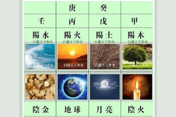 属什么命？揭开这一年的命理秘密