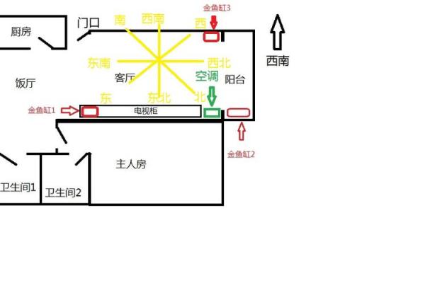 风水专家推荐的万年青财位摆放位置