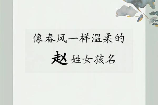 赵姓宝宝取名，传承与创意的完美结合