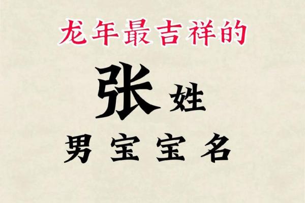 张姓宝宝取名指南：独特又有寓意的名字