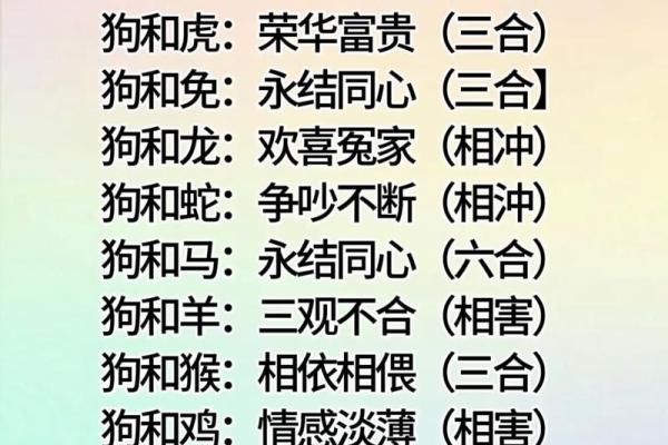 揭开属相相配的秘密 哪些生肖最适合做伴侣