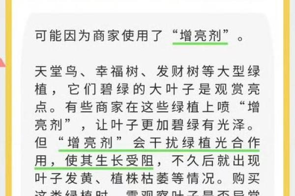 如何为花卉公司选择一个富有创意的名字