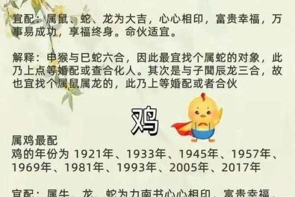 属相配对与婚姻运势解析