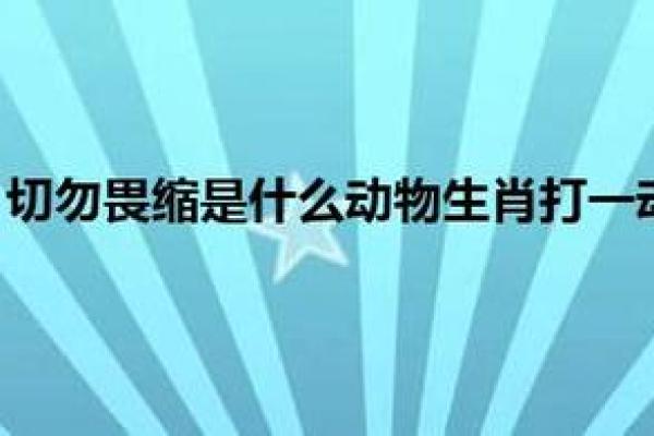 属什么生肖 详细解答你的疑问