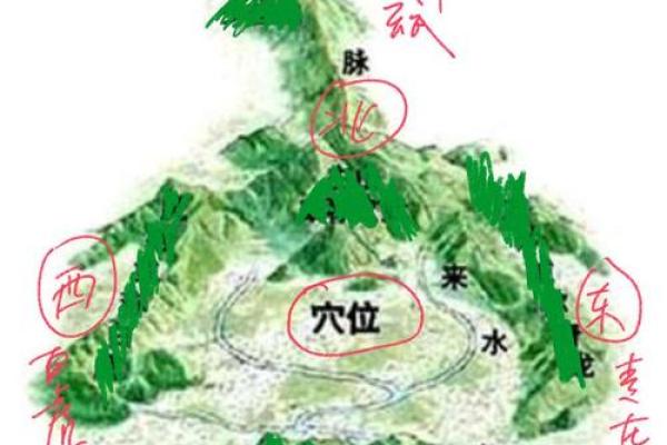 青龙位如何提升家居风水运势及幸福感