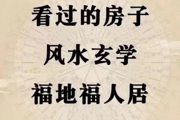 专业风水培训，助你提升家居与事业运势