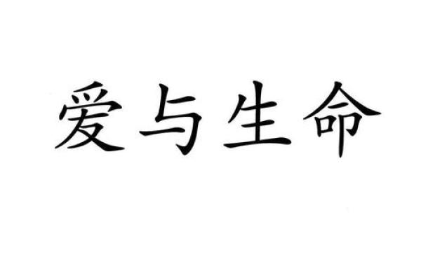 爱字在名字中的深意与象征