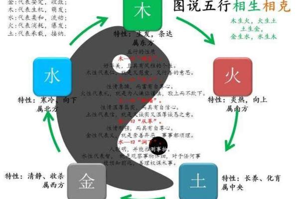 五行理论深度解析：探索五行与自然界的关系