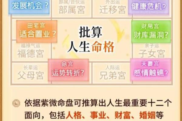 八字命理免费测算，精准解析你的未来