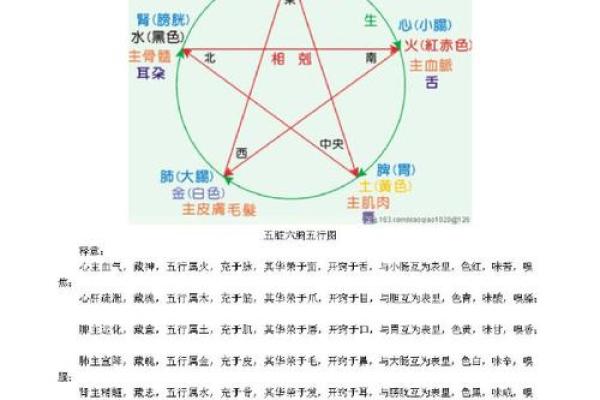 格五行属与命理解析：揭开个性与运势的秘密