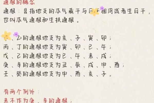 学八字入门：初学者必备的基础知识与技巧